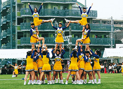 k1_cheer